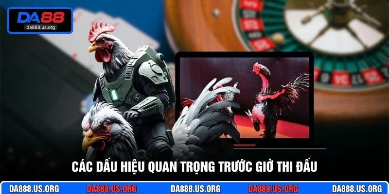 Các dấu hiệu quan trọng trước giờ thi đấu Các dấu hiệu quan trọng trước giờ thi đấu