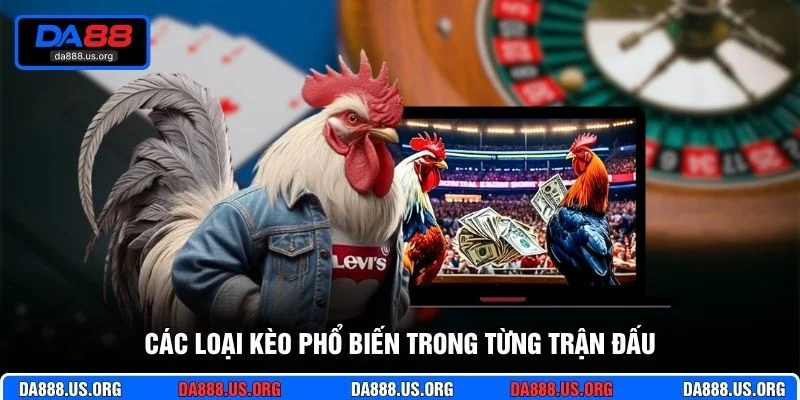 Các loại kèo phổ biến trong từng trận đấu Các loại kèo phổ biến trong từng trận đấu
