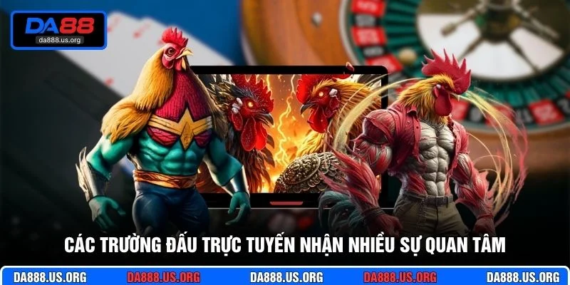Các trường đấu trực tuyến nhận nhiều sự quan tâm