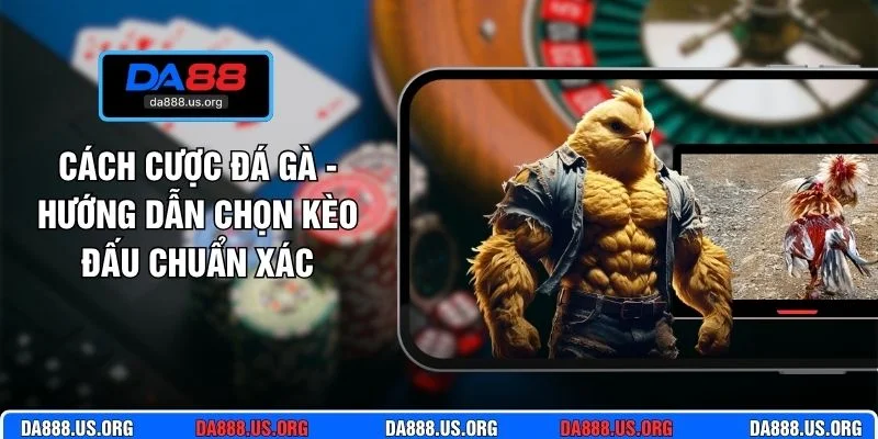 Cách cược đá gà