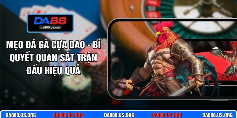 Mẹo đá gà cựa dao
