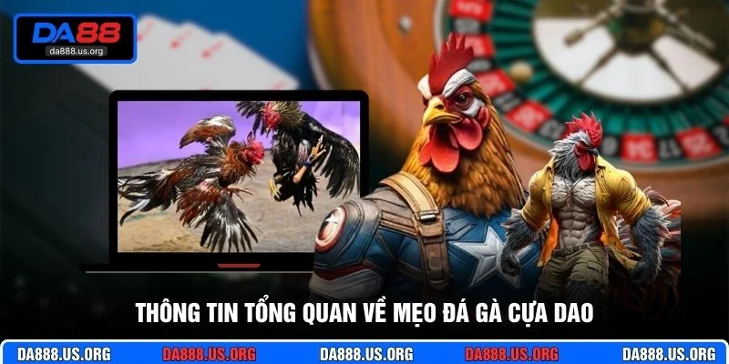 Thông tin tổng quan về mẹo đá gà cựa dao Thông tin tổng quan về mẹo đá gà cựa dao